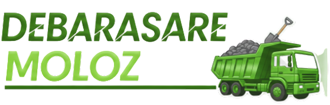 Debarasare Moloz Logo